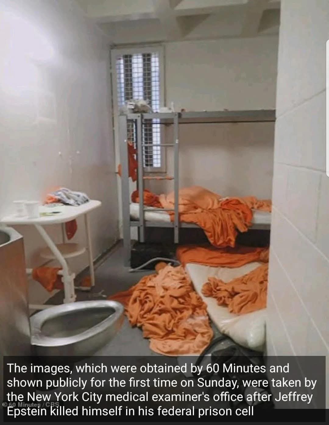 Cell scene photograph