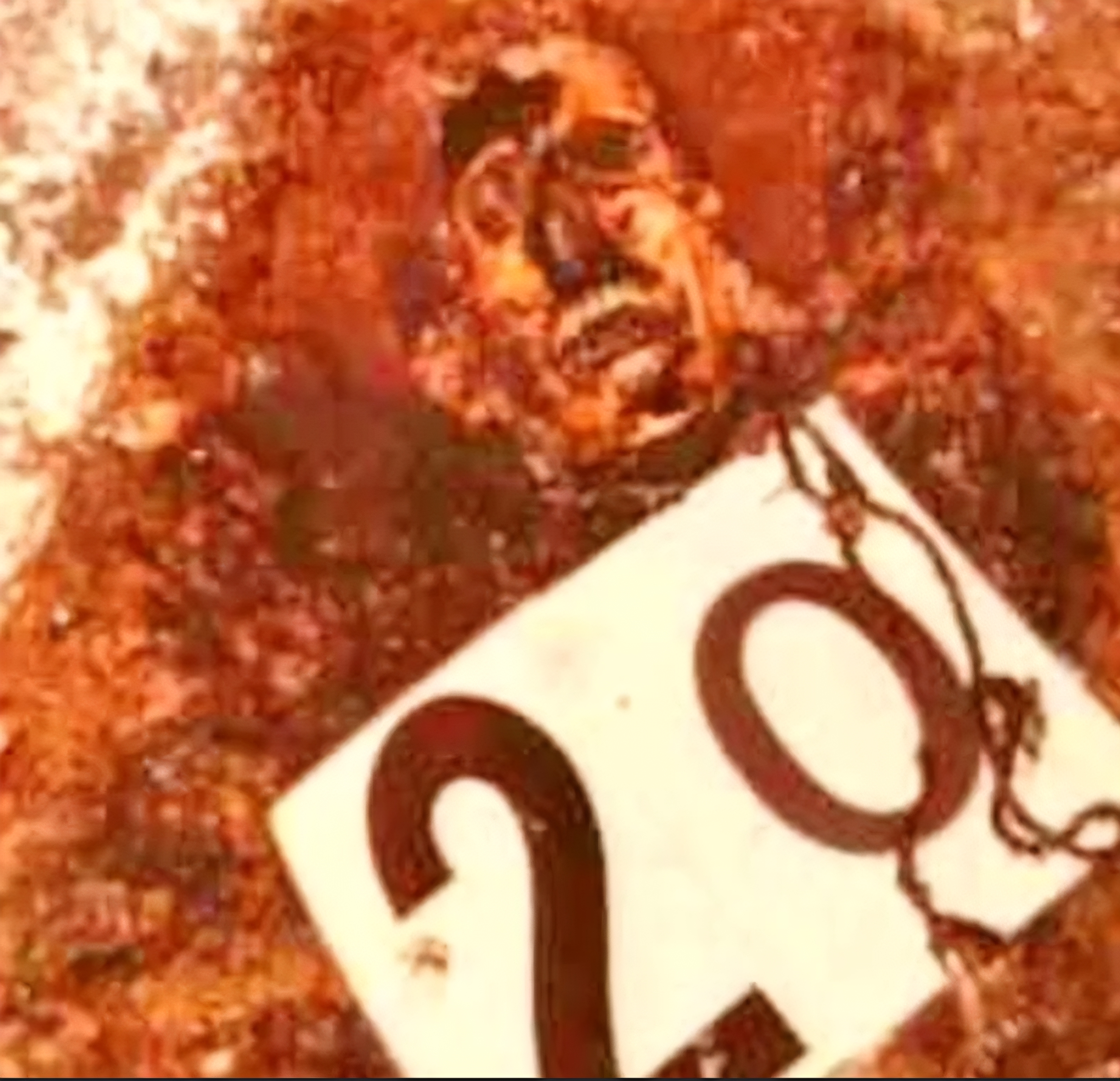 John Wayne Gacy Archive