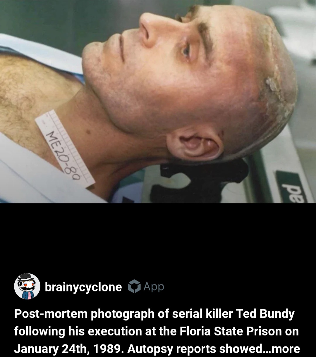 Bundy Evidence